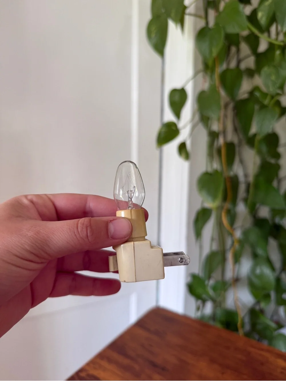 (3) piece vintage plug in light & cover